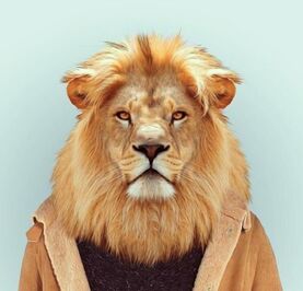 Вадим