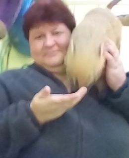 Анютка — фото 6